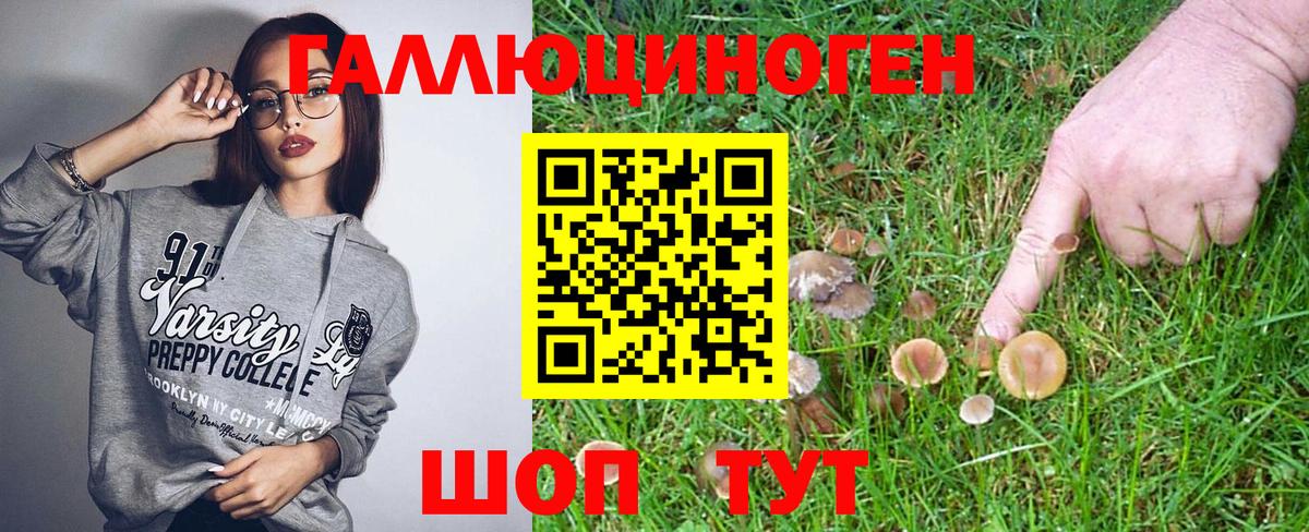 Копейск  Галлюциногенные грибы Cubensis  где можно купить наркотик  Вход с VPN 