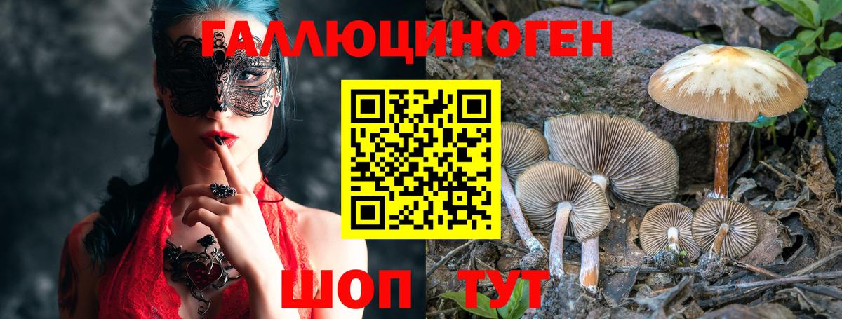 Псилоцибиновые грибы GOLDEN TEACHER Копейск